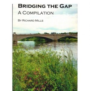 bridging-gap